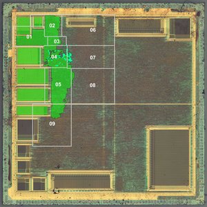 layout1.jpg